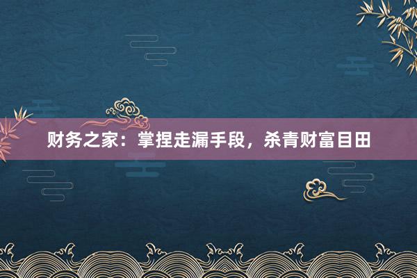财务之家：掌捏走漏手段，杀青财富目田