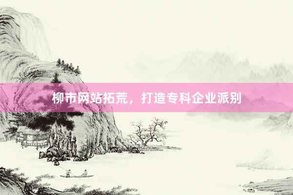 柳市网站拓荒，
<a href=