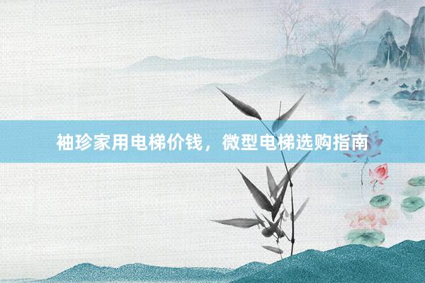 袖珍家用电梯价钱，微型电梯选购指南