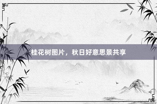 桂花树图片，秋日好意思景共享
