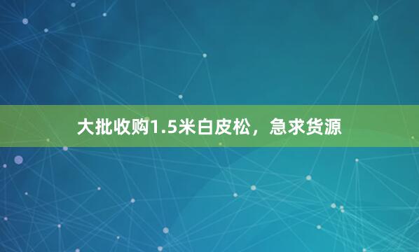 大批收购1.5米白皮松，急求货源